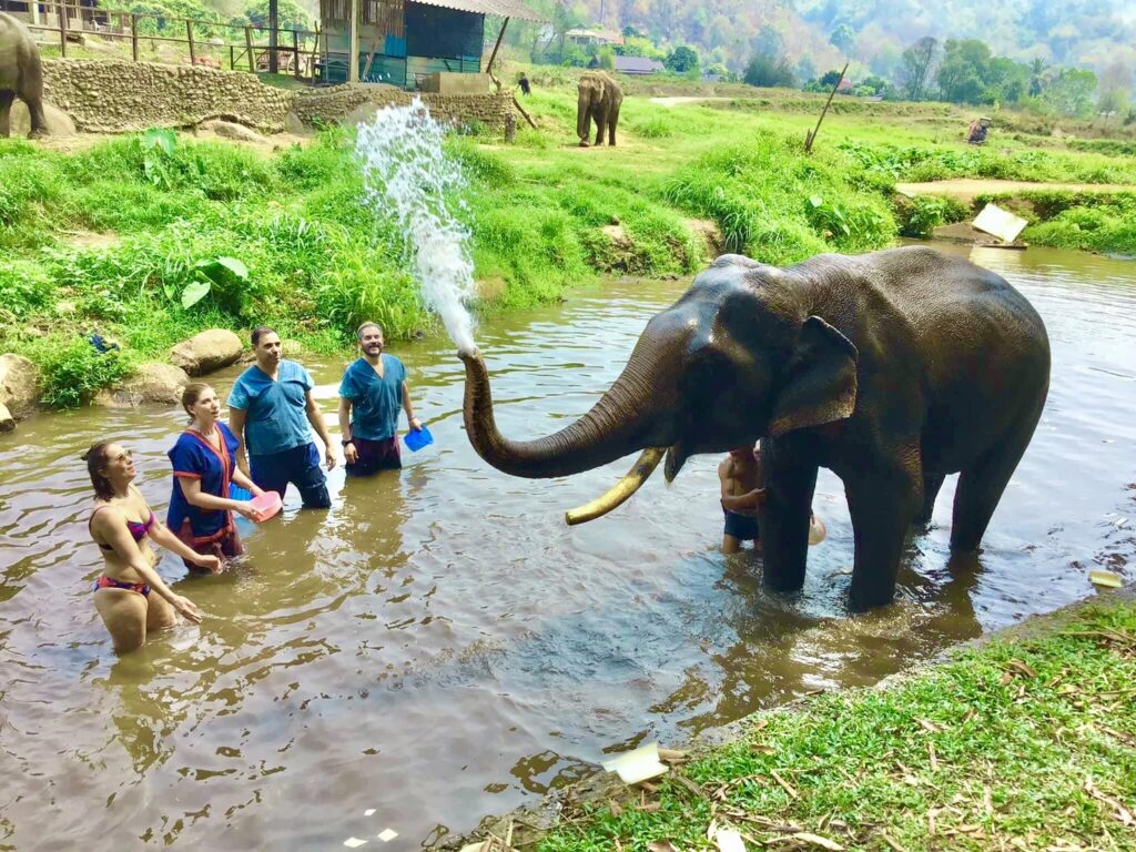 thailand elephant sanctuaries tour