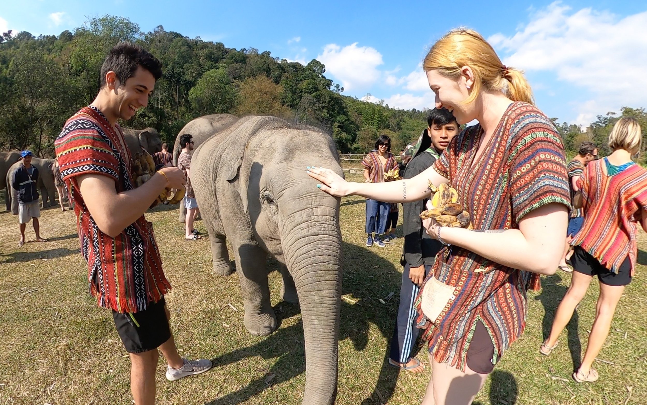 Elephant Sanctuaries in Chiang Mai